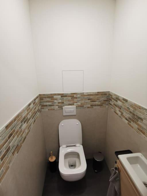 Apartman Bila Voda Červená Voda Zewnętrze zdjęcie